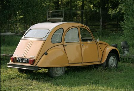 orange car