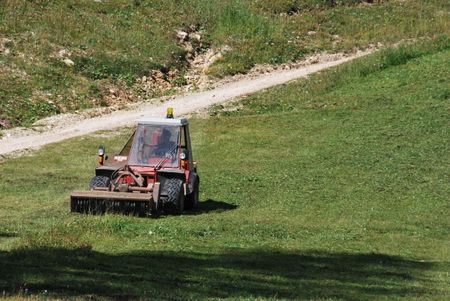 tagliando l'erba