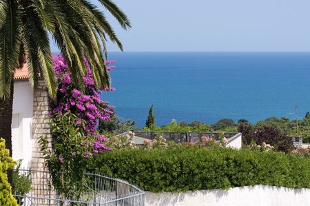 guardo il mare panorama di fiori