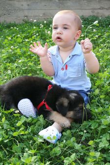 bambino con cucciolo di pastore tedesco