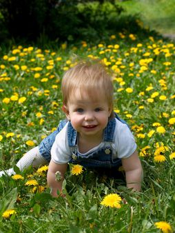 kid with dandelions