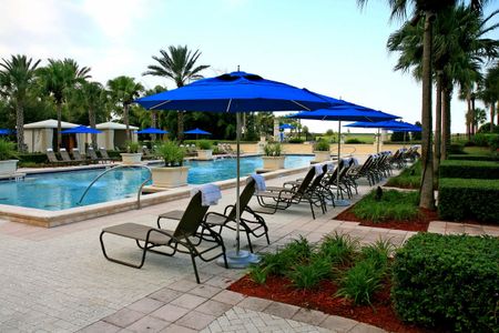 the landscape and swimming pool in a resort