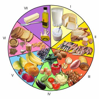 Rueda de los alimentos. | Source Wikipedia y fotos tomadas por el aut