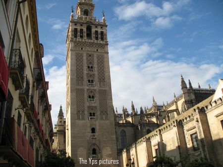 1 picture of the Cathedral Maria de la Sede in Sevilla. It is the 3rd