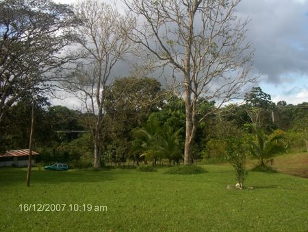 caoba
