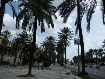 Palma de Mallorca, the capital of the spanish island of Mallorca in th