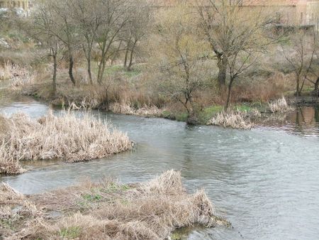 Rio Tormes Nr. 4