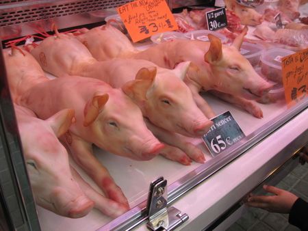 Cerdos en el mercado de la boquería, Barcelona