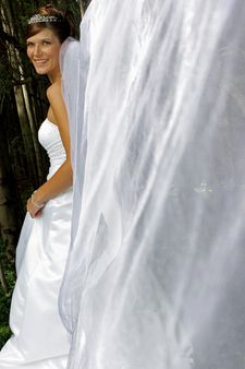 Bride Veil A