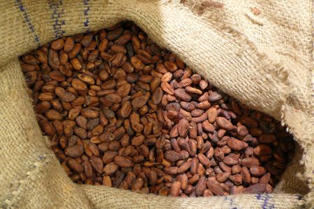Cacao