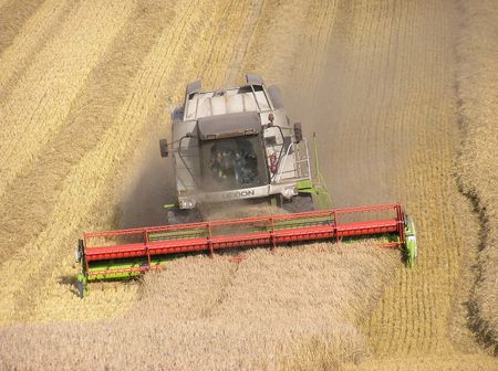 Combine harvester working in Wiltshire