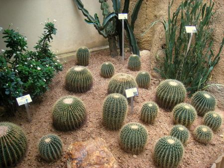 Hong Kong Park Conservatory in Hong Kong Park, Hong Kong. | Source I