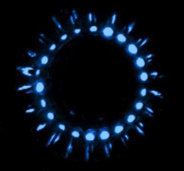 What is Bioluminescence?