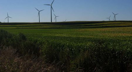 wind farm 3