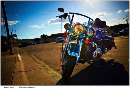 Harley Davidson