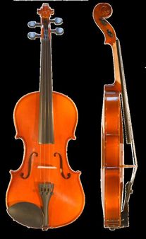 Violin | Source Image:Violin left.jpg | x130px Image:Violin front.jpg
