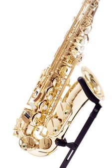 gold s