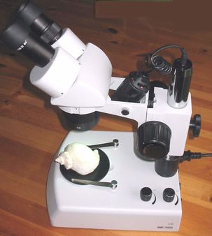 Microscopio estereoscópico