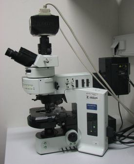 microscopio de fluorescensia