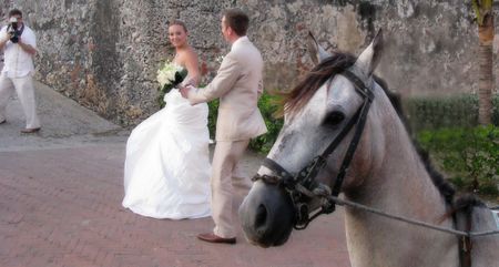 Wedding in paradise