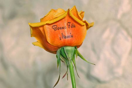 bonne fete mamie