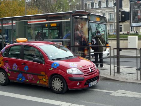 habillage auto-école fleuri (Orléans,FR45)