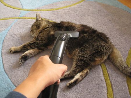 vacuuming Maude