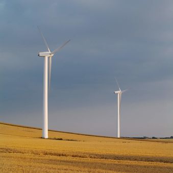 Windmill in a wheat field