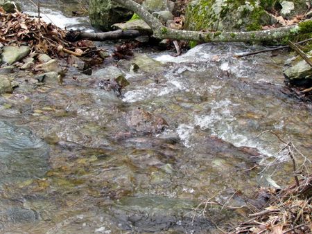 Dark Hollow Falls Skyline Dr VA 1934