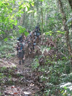 Approaching Ua-Ule Creek, Kokoda Track, Papua New Guinea