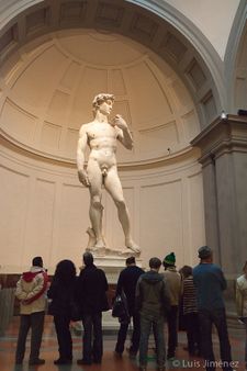 Florencia D3 (17 de 18)