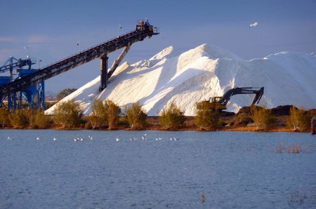 1 Explotación de salinas en Marismas del Odiel, Huelva (España). |