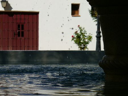 Gotas manchadas...