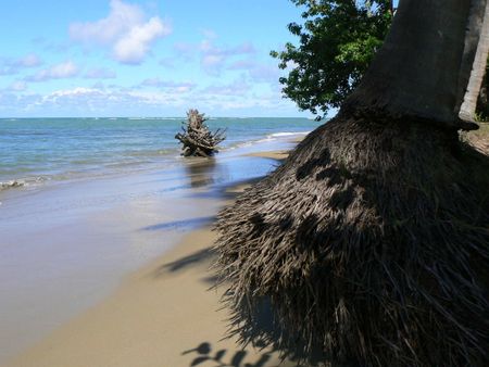 Secluded beach, Puerto Plata