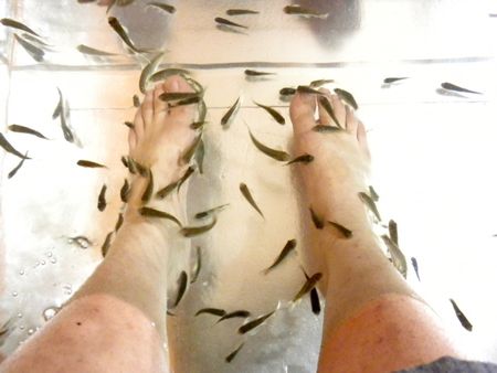 Garra Rufa Fish Treatment