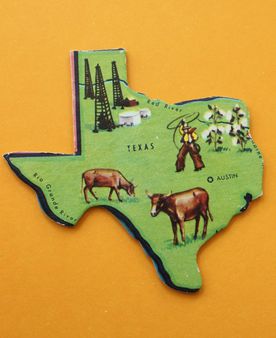 Texas Puzzle Shape