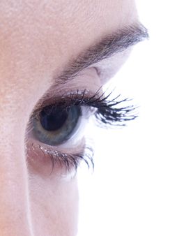 How fast do eyelashes grow back