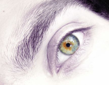 Eye