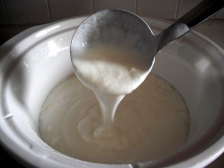 Yogurt