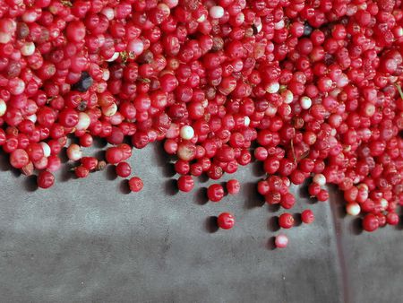 red berry background