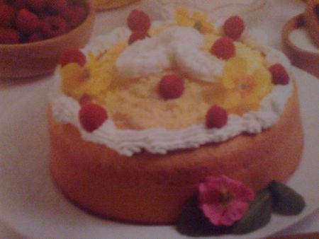 torta spumosa