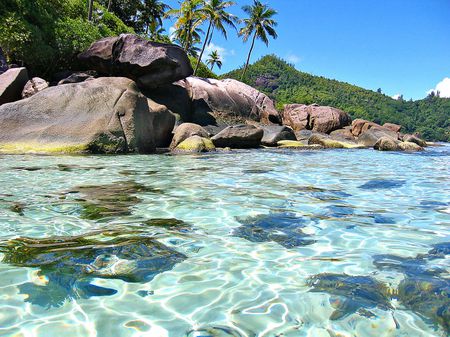 Seychelles - Acqua