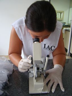 Laboratório de Biotecnologia e Qualidade de frutas em Jundiaí - IAC