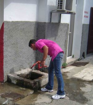 Ecoauditoría funcional