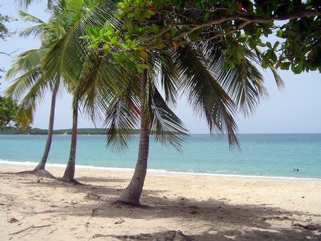 Turismo en Vieques: Sun Bay, una de las playas en la isla