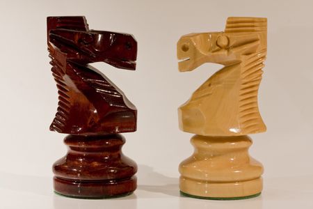 Two horses of chess on white background