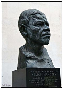 Nelson Mandela - The Struggle is My Life