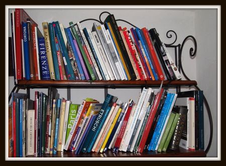 Travel books