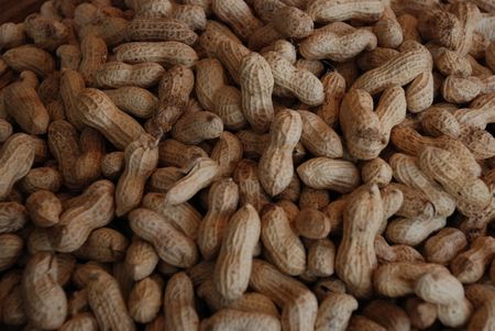 Peanut with shells