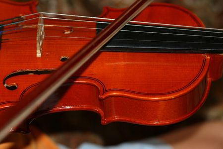 violin